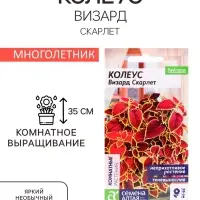 Семена комнатных цветов Колеус &laquo;Визард Скарлет&raquo;, 5 шт., &laquo;Семена Алтая&raquo;