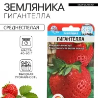 Семена Земляника &laquo;Гигантелла&raquo;, 10 шт., &laquo;Сибирский сад&raquo;