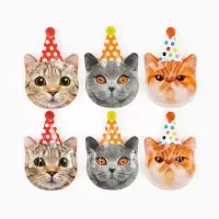 Тарелка фигурная одноразовая &laquo;Котики фотографичные&raquo;, 24 см, 6 шт.