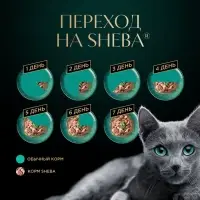 Влажный корм Sheba для кошек, телятина и язык в соусе, пауч 75 г