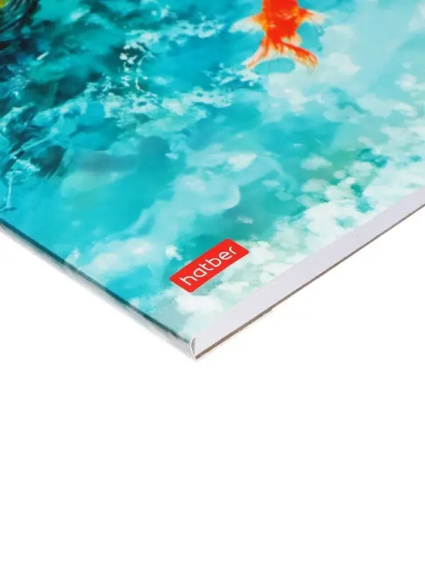 Альбом для рисования Hatber &laquo;Золотые рыбки&raquo; А4, 20 листов, склейка с трёх сторон, обложка из мелованной бумаги