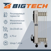 Радиатор BigTech WBH002 10W, масляный (5 секций 1000 Вт)