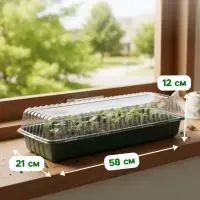 Мини - парник для рассады, 58&times;21&times;12 см, без вставок, тёмно-зелёный, пластик, Greengo