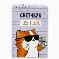 Скетчбук А6, 80 л., 100 г/м&sup2; &laquo;Котик&raquo;