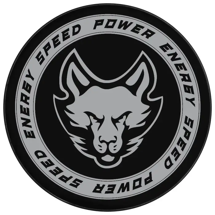 Шайба хоккейная Winter Star, взрослая, d=7.6 см