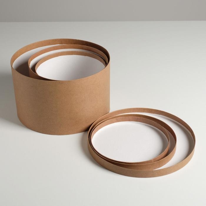 Набор шляпных коробок для цветов 3 в 1, упаковка подарочная, «Крафт», 18 х 18 х 13 см - 25 х 25 х 15 см Набор шляпных коробок для цветов 3 в 1, упаковка подарочная, «Крафт», 18 х 18 х 13 см - 25 х 25 х 15 см