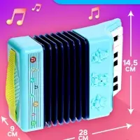 Музыкальная гармошка &laquo;Весело поём&raquo;, цвета МИКС