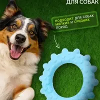 Плавающая игрушка для собак Пижон Premium &laquo;Кольцо с шипами&raquo;, 8 см, вспененный TPR, голубая