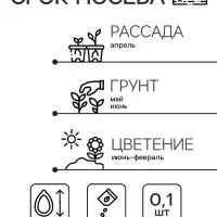 Семена цветов дельфиниум&laquo; Жуневер&raquo;, 0.1 г