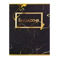 Набор предметных тетрадей Calligrata &laquo;Мрамор тёмный&raquo;, 10 предметов, 48 листов, со справочным материалом, обложка из мелованного картона