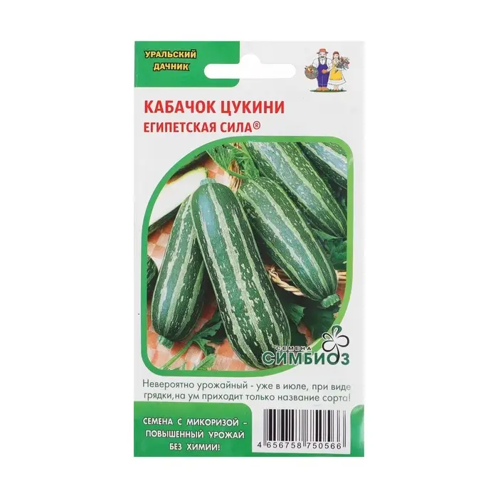 Семена Кабачок &laquo;Египетская Сила&raquo;, 10 шт., &laquo;Уральский Дачник&raquo;