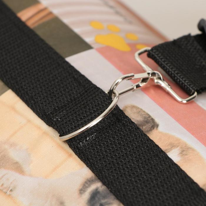 Сумка - переноска для животных с принтом, 49 х 30 х 35 см микс Сумка - переноска для животных с принтом, 49 х 30 х 35 см микс