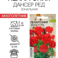 Семена цветов Пеларгония &laquo;Дансер Ред&raquo;, зональная, 3 шт., &laquo;Семена Алтая&raquo;