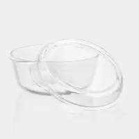 Кастрюля для запекания Paşabah&ccedil;e Borcam, 3 л, с крышкой, жаропрочное стекло, прозрачная