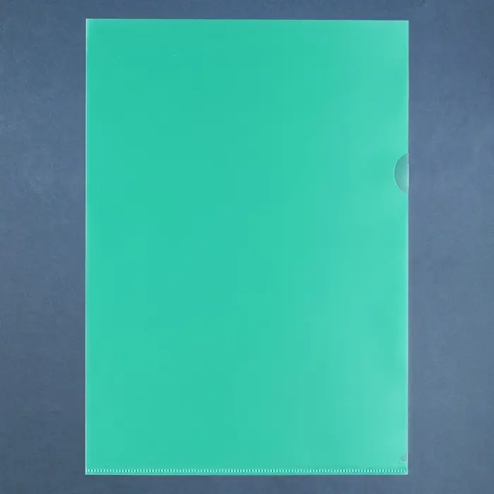 Набор папок-уголков А4, 100 мкм, Calligrata Выгодные, прозрачные, 5 штук, микс