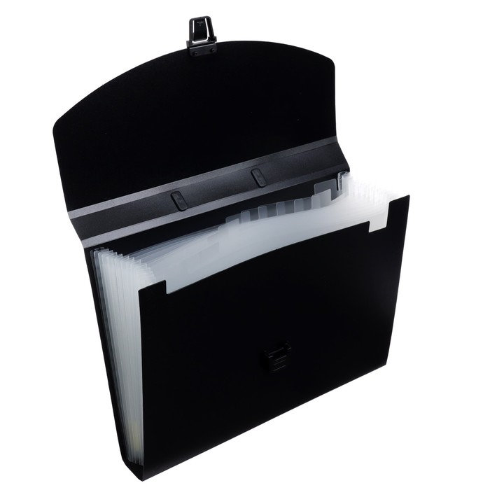 Папка-портфель А4 Calligrata, 13 отделений, 700 мкм, до 300 листов, чёрная Папка-портфель А4 Calligrata, 13 отделений, 700 мкм, до 300 листов, чёрная