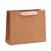 Пакет крафт без печати, горизонтальный, 22&times;8&times;18 см 260 г/м&sup2;