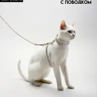 Комплект амуниции &laquo;Жаккард&raquo;, поводок 120&times;1 см, серый