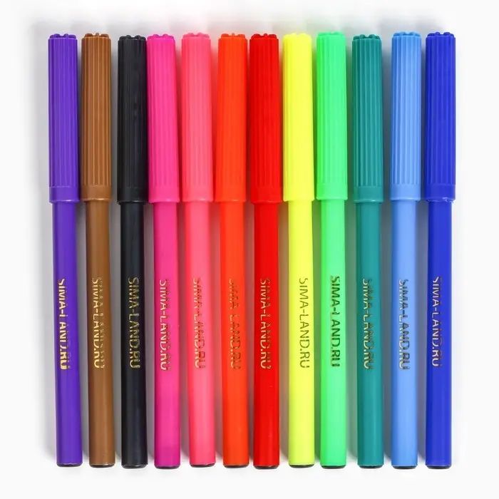 Фломастеры 12 цветов в коробке Букибяки