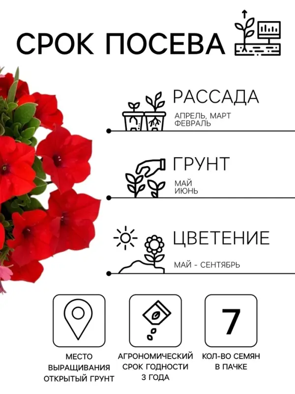 Семена цветов Петуния &laquo;САКСЕСС! 360&deg;&raquo; Ред, F1, 7 шт., Benary, &laquo;АЭЛИТА&raquo;