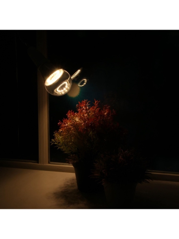 Фитолампа для растений Luazon, светодиодная, А60, E27, 12 Вт, IP44, 220 В, 270°, полноспектральная Фитолампа для растений Luazon, светодиодная, А60, E27, 12 Вт, IP44, 220 В, 270°, полноспектральная