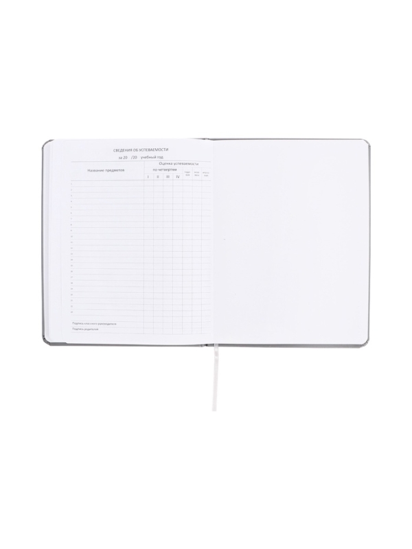 Дневник школьный 1-11 класс, deVENTE &laquo;Я ОК&raquo;, искусственная кожа, шелкография