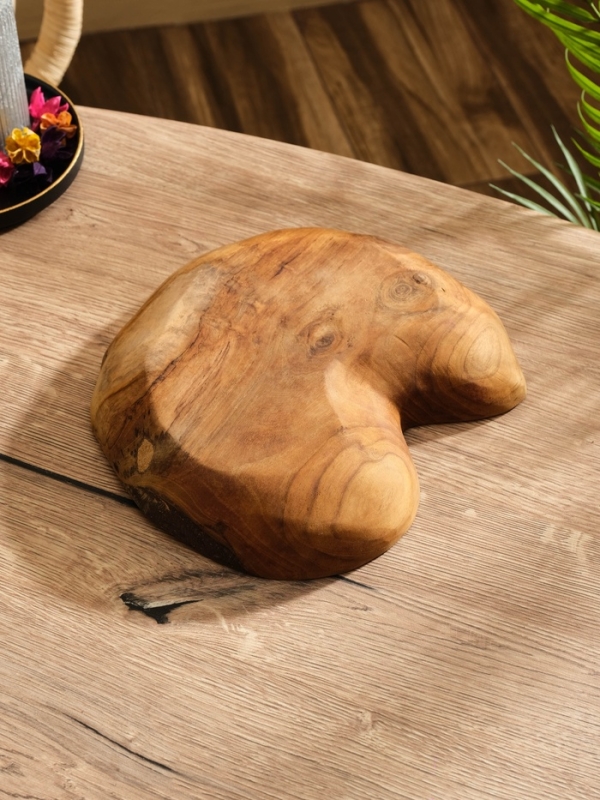 Тарелка Тарелка "Ракушка" дерево Джати, 25х22х5 см, цв. коричневый