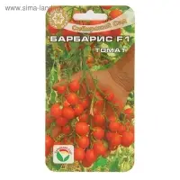 Семена Томат "Барбарис" F1, раннеспелый, 15 шт