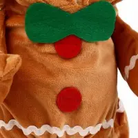 Костюм "Новогодная печенька",  S (ДС 20, ОГ 32 см)