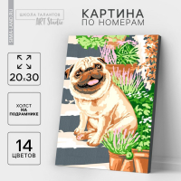 Картина по номерам на холсте с подрамником «Мопс» 20х30 см Картина по номерам на холсте с подрамником «Мопс» 20х30 см