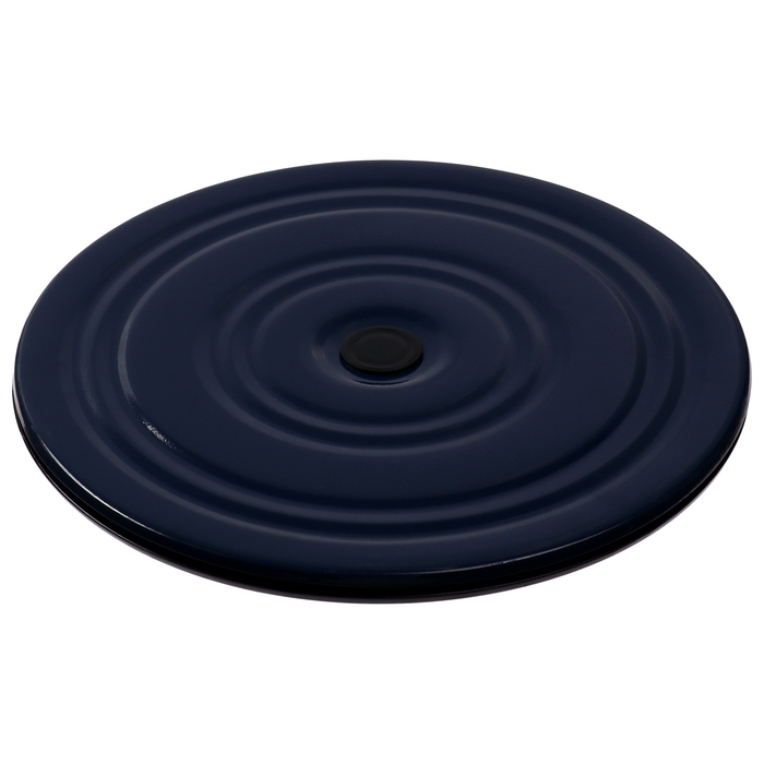 Диск здоровья, металлический, d=28 см, двухцветный Диск здоровья, металлический, d=28 см, двухцветный