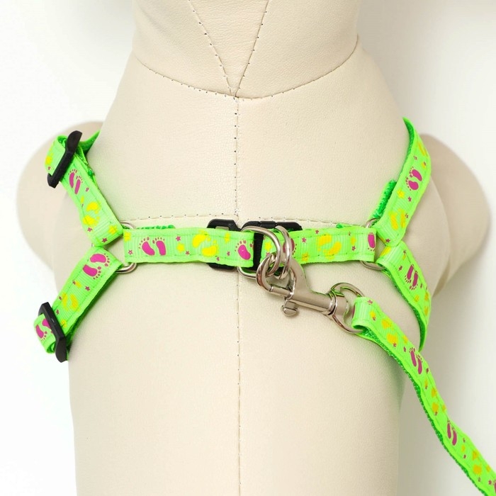 Комплект  Комплект "Цветные следы", поводок 120 х 1 см, ОГ 23-35 см, зелёный