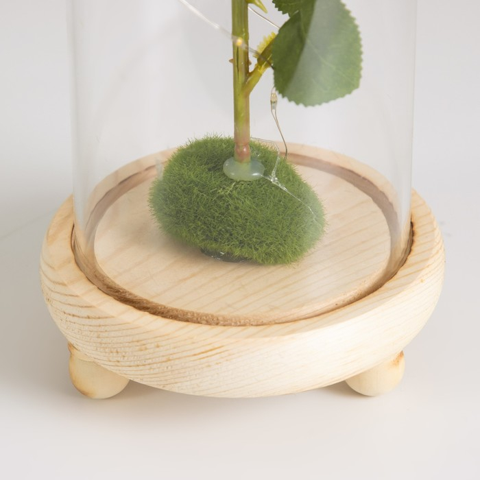 Ночник колба Ночник колба "Роза белая" LED 3ААА 10х10х20 см RISALUX