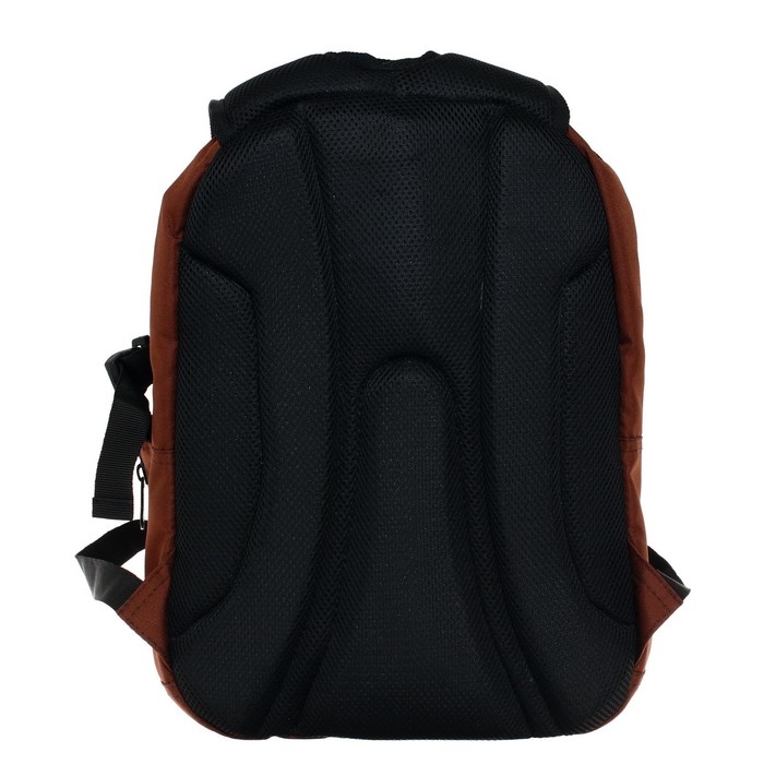 Рюкзак молодёжный Stavia, 40 х 28 х 18 см, эргономичная спинка, Stavia  Рюкзак молодёжный Stavia, 40 х 28 х 18 см, эргономичная спинка, Stavia "Город-1", коричневый