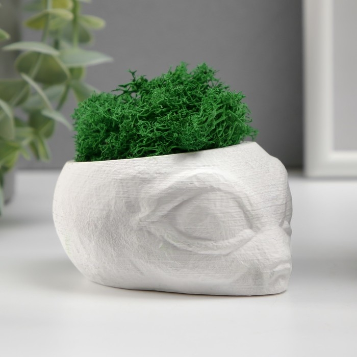 Кашпо бетонное  Кашпо бетонное "Пришелец" высота 5 см, диаметр 6 см белый со мхом (мох зелен. стабилизир)