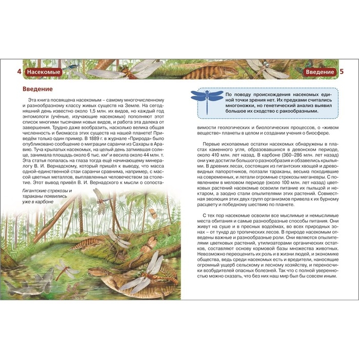 Детская энциклопедия «Насекомые» Детская энциклопедия «Насекомые»