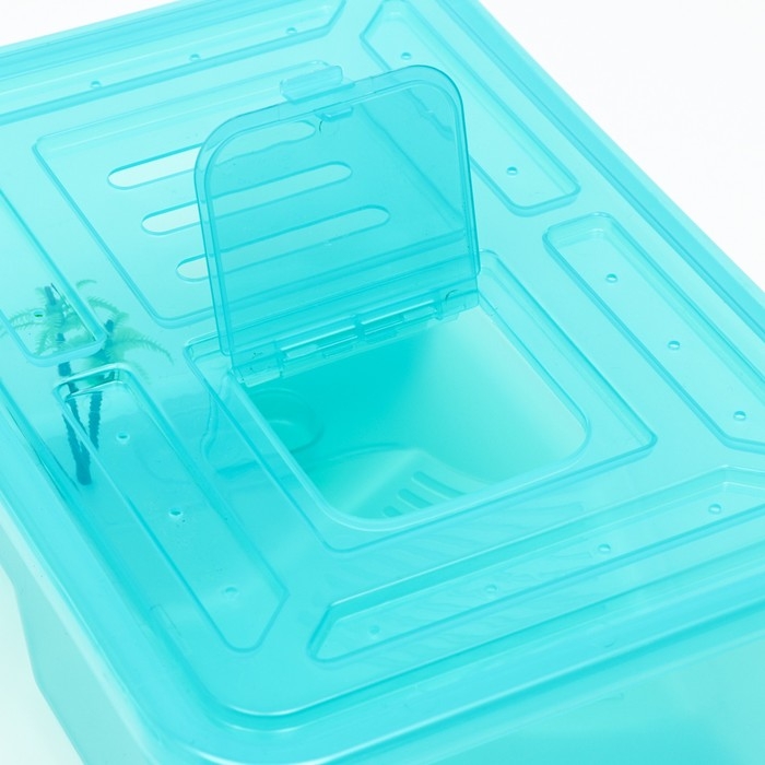 Отсадник Отсадник