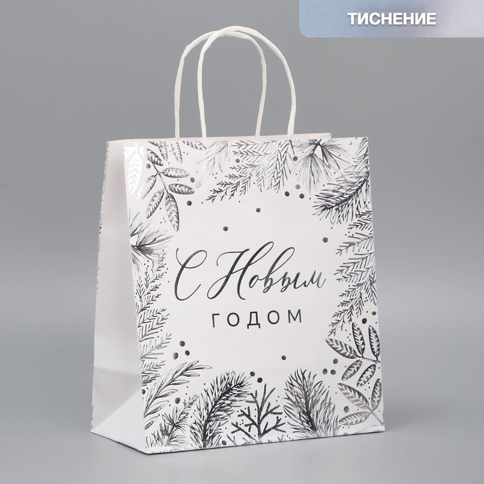 Пакет подарочный новогодний крафтовый «Серебро», 22 х 25 х 12 см, Новый год Пакет подарочный новогодний крафтовый «Серебро», 22 х 25 х 12 см, Новый год