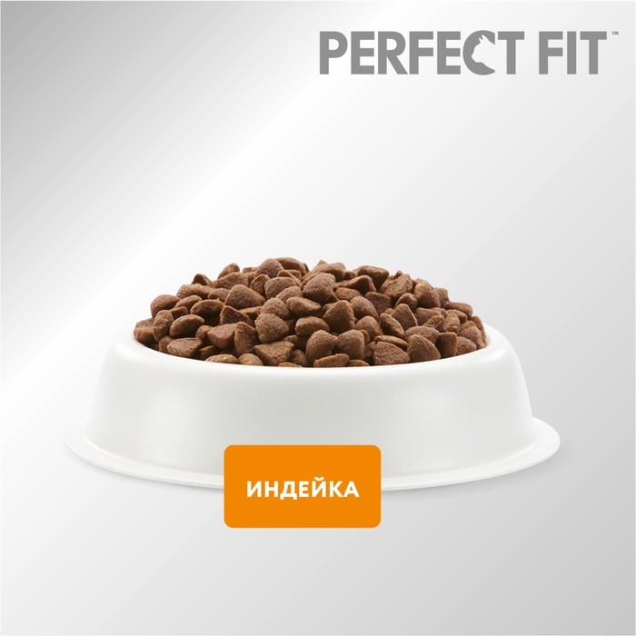 Сухой корм Perfect Fit для чувствительных кошек, индейка, 650 г Сухой корм Perfect Fit для чувствительных кошек, индейка, 650 г