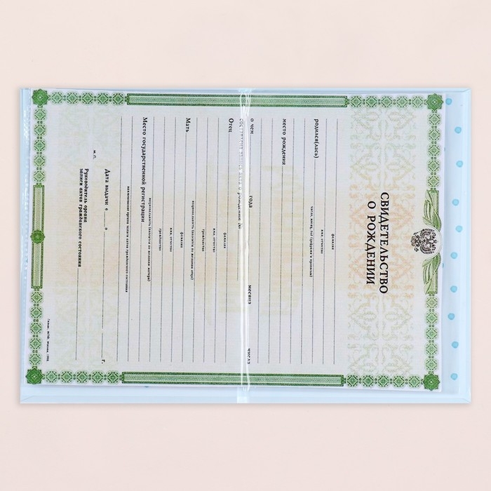 Папка под свидетельство о рождении  Папка под свидетельство о рождении "Утёнок" голубой бант, А5