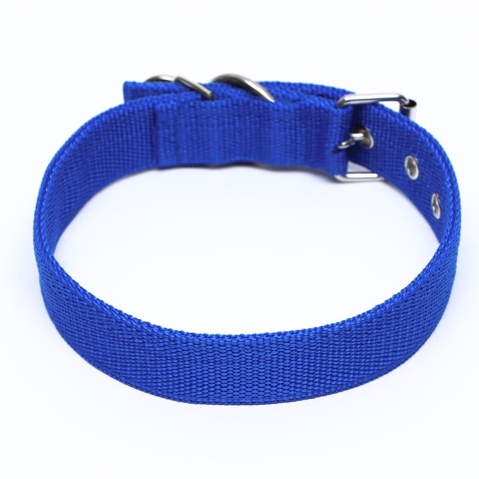Ошейник двухслойный с вертлюгом, 58 х 3 см, полиэстер, синий Ошейник двухслойный с вертлюгом, 58 х 3 см, полиэстер, синий