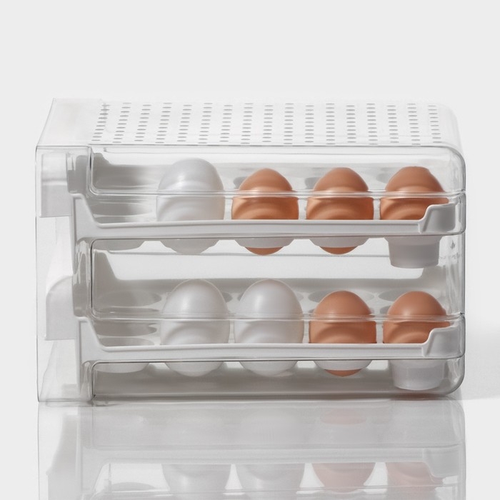 Контейнер для хранения яиц Доляна, 40 ячеек, 27×22×16 см, цвет белый Контейнер для хранения яиц Доляна, 40 ячеек, 27×22×16 см, цвет белый