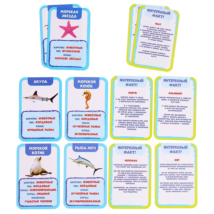 Развивающий набор «Подводный мир», бассейн, гидрогель, карточки Развивающий набор «Подводный мир», бассейн, гидрогель, карточки