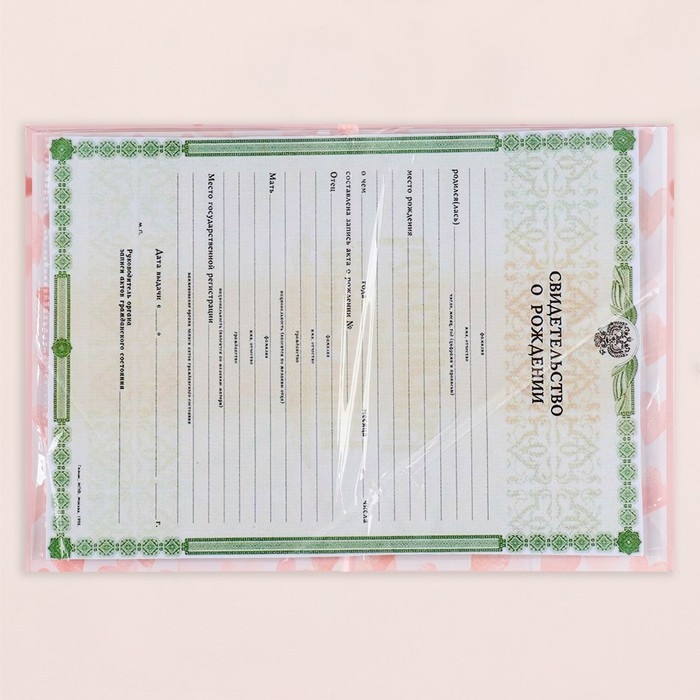 Папка под свидетельство о рождении Папка под свидетельство о рождении "Для девочки" девочка, А5