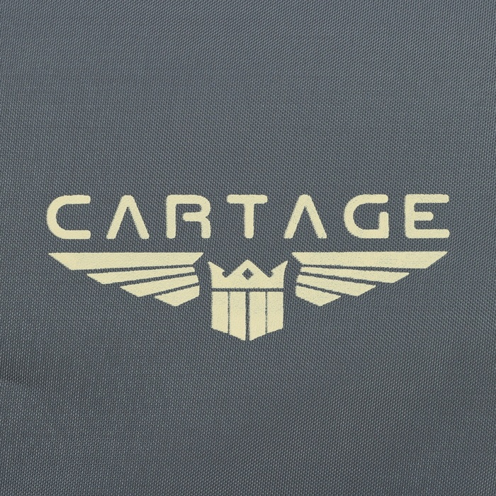 Термосумка Cartage Т-15, серая, 10 л, 26х19х19 см Термосумка Cartage Т-15, серая, 10 л, 26х19х19 см