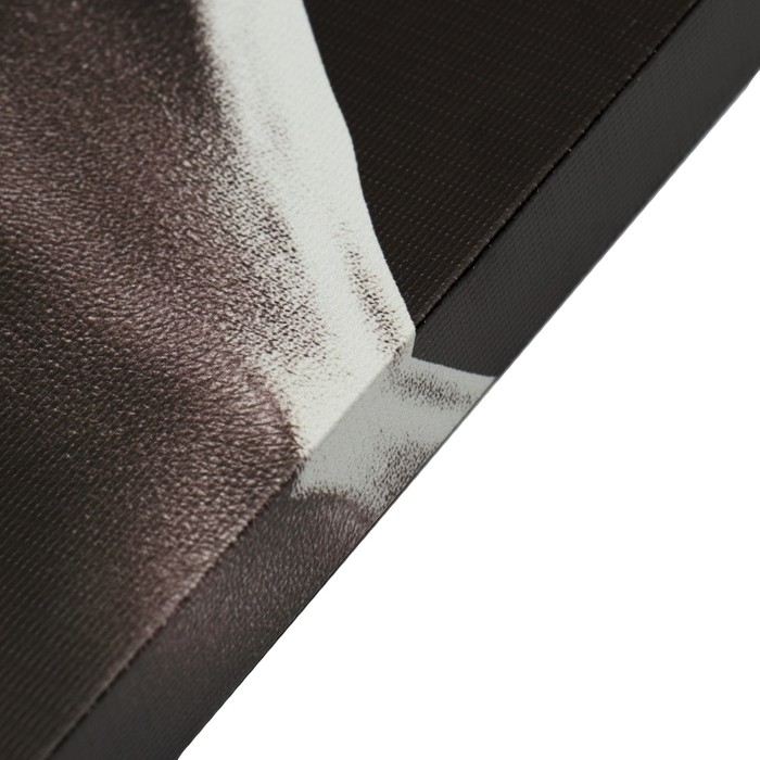 Картина-холст на подрамнике Картина-холст на подрамнике "Королева Африки" 50х70 см