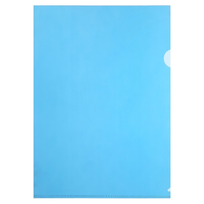 Набор папок-уголков А4, 150 мкм, Calligrata Стандарт, прозрачные, 5 штуки, микс Набор папок-уголков А4, 150 мкм, Calligrata Стандарт, прозрачные, 5 штуки, микс