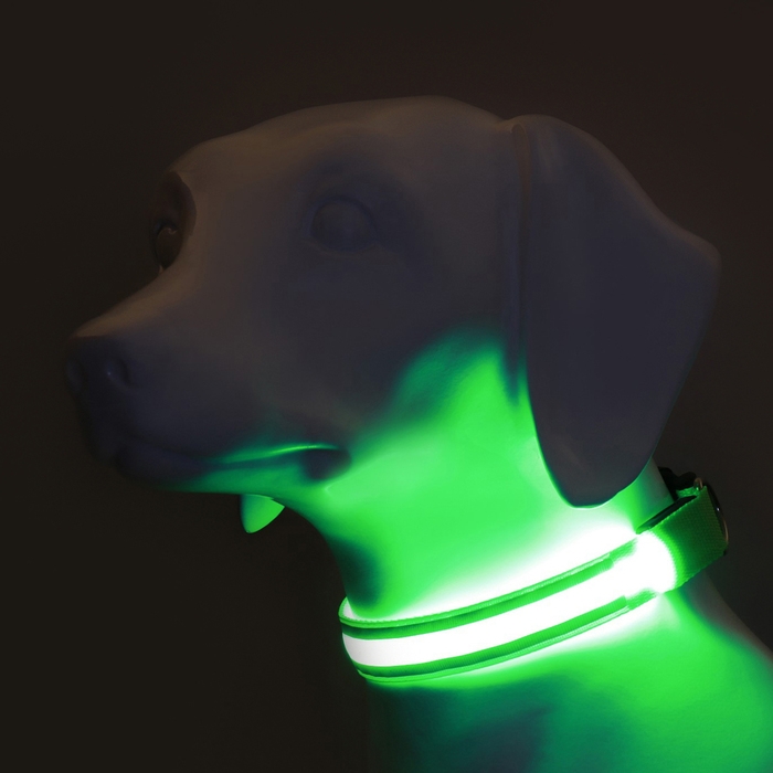 Ошейник с подсветкой Двойная полоса размер S, ОШ 35-43 х 2,5 см, 3 режима свечения зелёный Ошейник с подсветкой Двойная полоса размер S, ОШ 35-43 х 2,5 см, 3 режима свечения зелёный