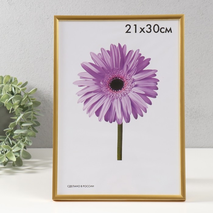 Фоторамка пластик Lida 21х30 см золото Фоторамка пластик Lida 21х30 см золото