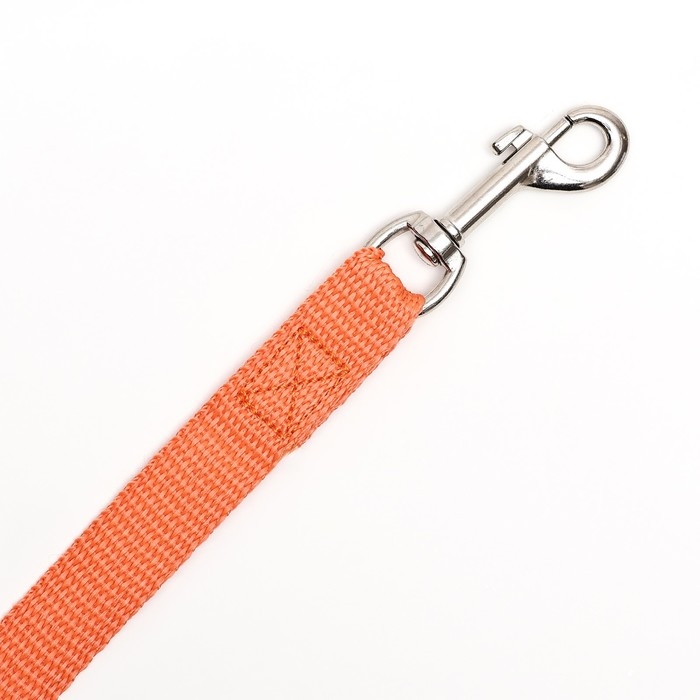 Поводок капроновый цветной Зооник, 3 м х 2 см, микс цветов Поводок капроновый цветной Зооник, 3 м х 2 см, микс цветов